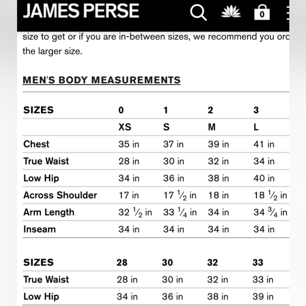 James Perse Size 3 Tall Men’s Blue VNeck Tee Shirt.Short sleeve.EC 100% Cotton - Picture 14 of 14